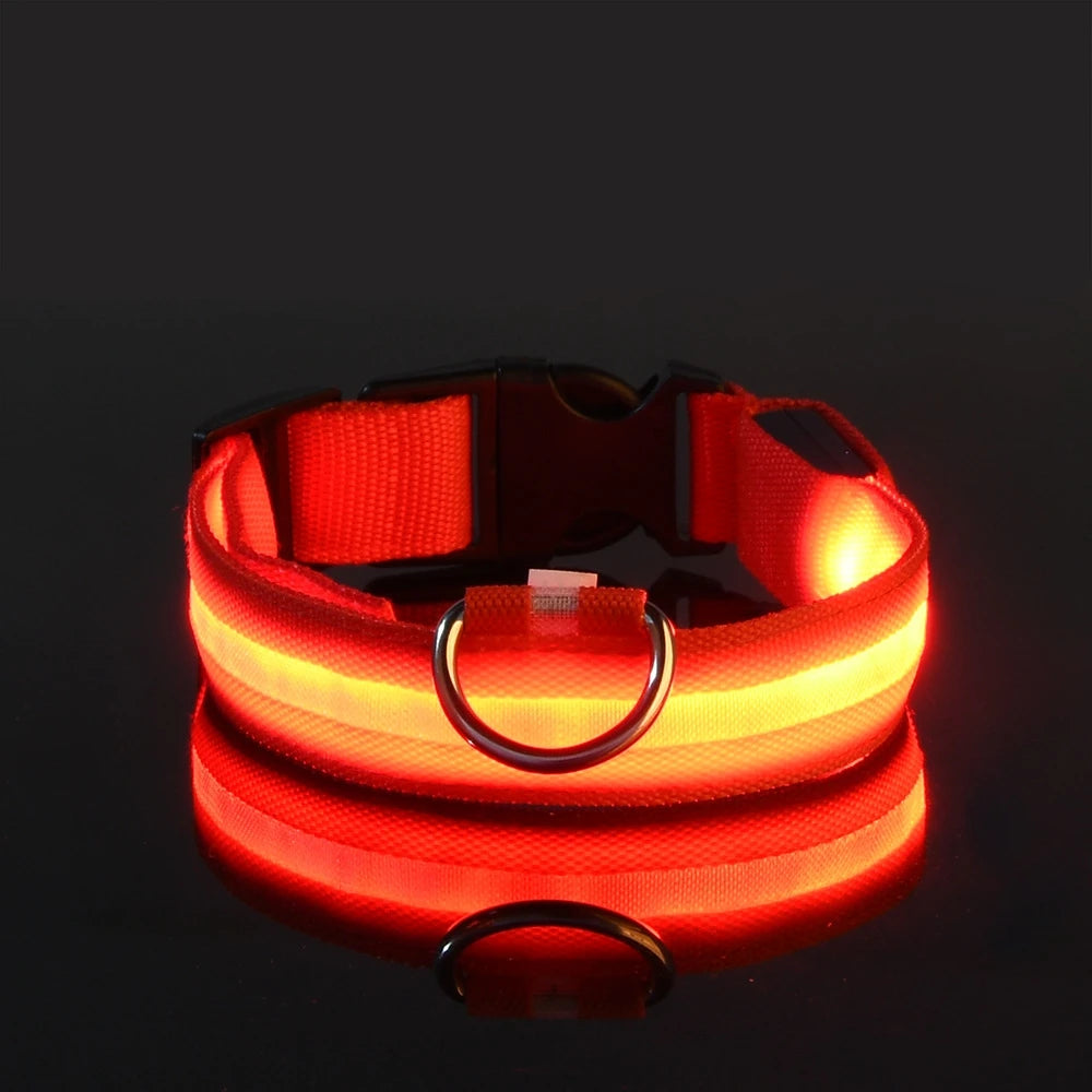 Rechargeable LED Dog Collar for Night Safety