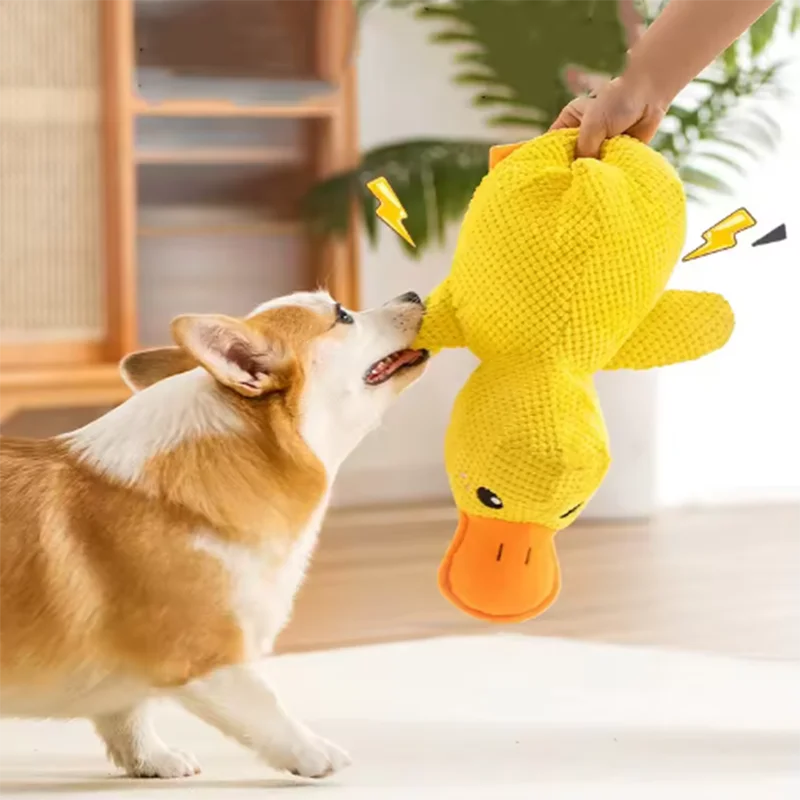 Duck Toy