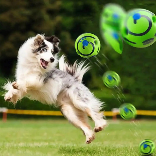 Interactive Squeaky Dog Ball – Durable Chew Toy for Active Dogs