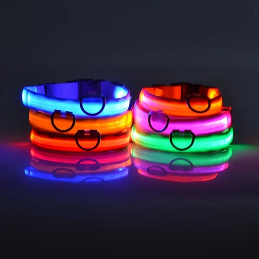 LED Dog Collar | Night Safety Light for Dogs | Avaloryx