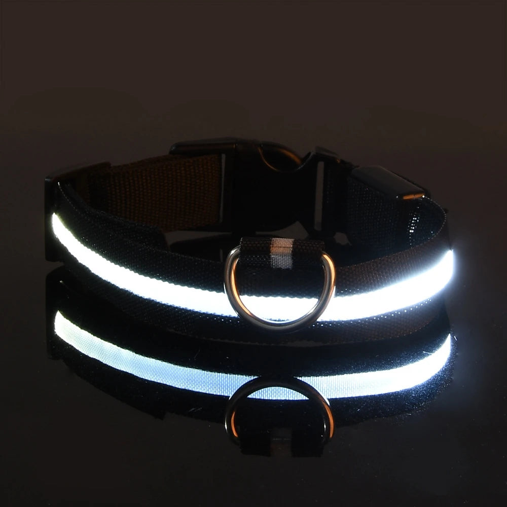 Rechargeable LED Dog Collar for Night Safety
