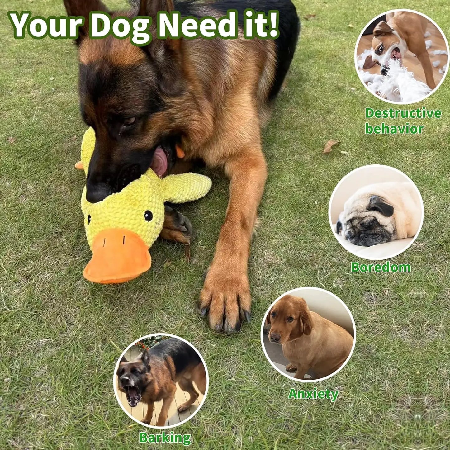 Duck Toy