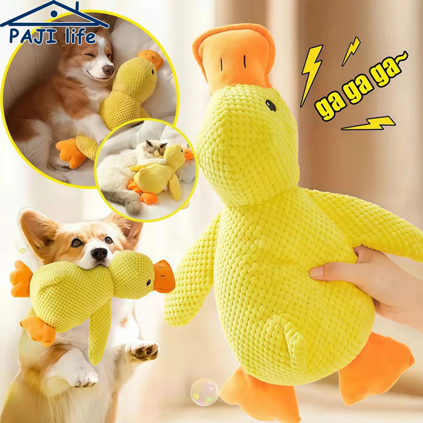 Duck Toy