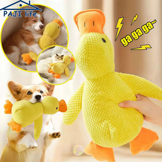 Squeaky Duck Dog Toy | Avaloryx