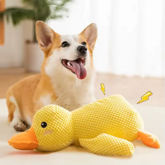 Squeaky Duck Dog Toy | Avaloryx