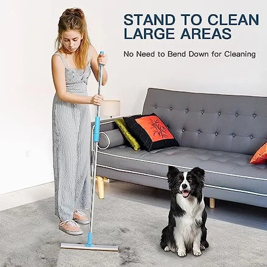 KIT Carpet Rake Pet Hair Remover