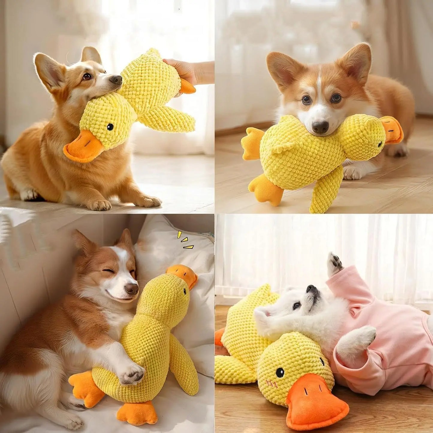Duck Toy