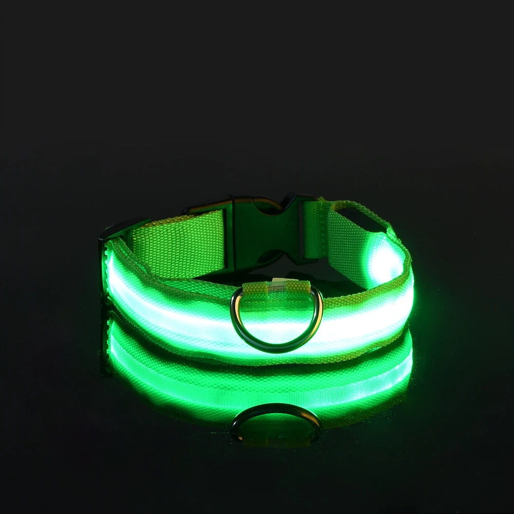 Rechargeable LED Dog Collar for Night Safety