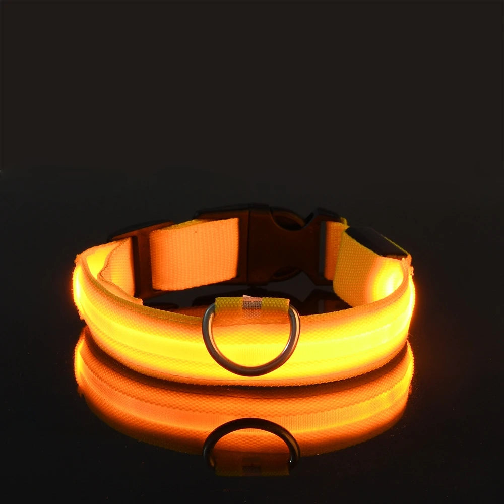 Rechargeable LED Dog Collar for Night Safety