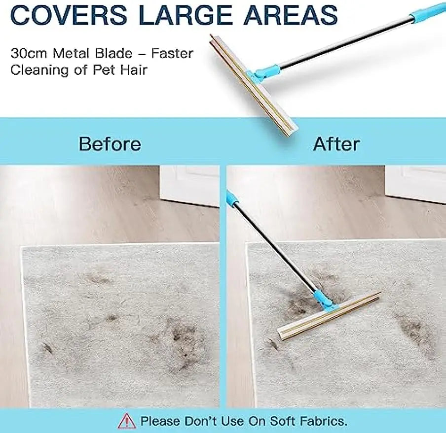 KIT Carpet Rake Pet Hair Remover
