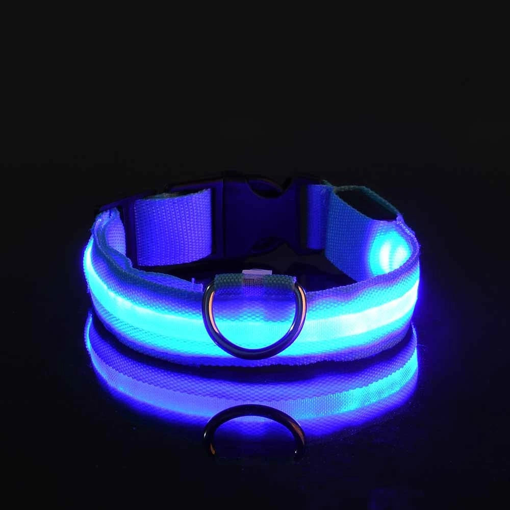 Rechargeable LED Dog Collar for Night Safety