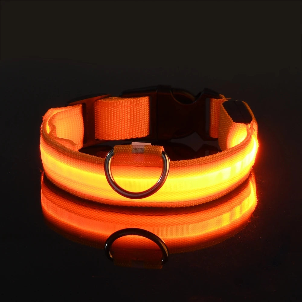 Rechargeable LED Dog Collar for Night Safety