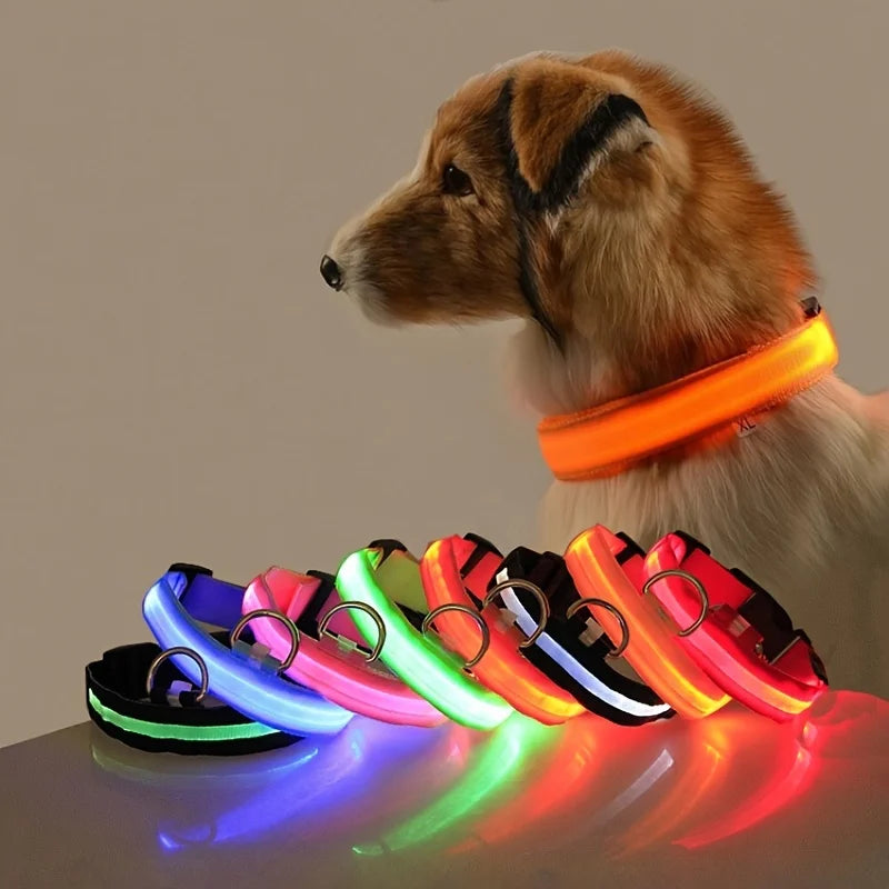 Rechargeable LED Dog Collar for Night Safety