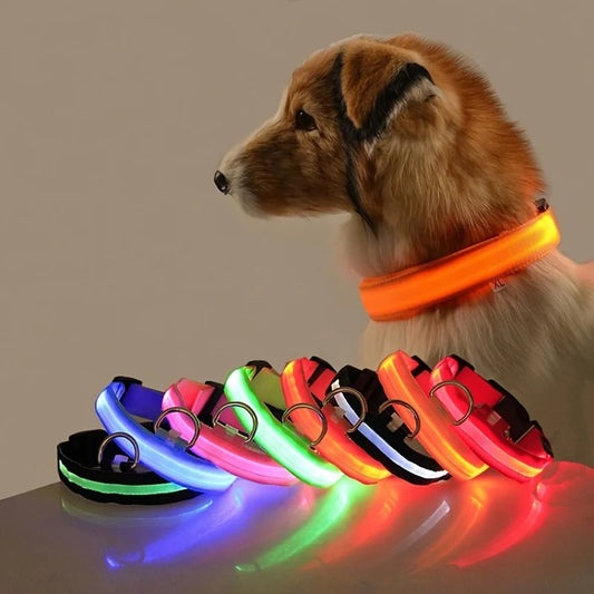 Rechargeable LED Dog Collar for Night Safety