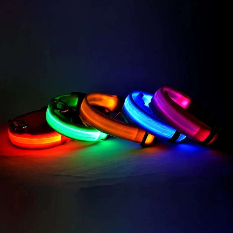 Rechargeable LED Dog Collar for Night Safety