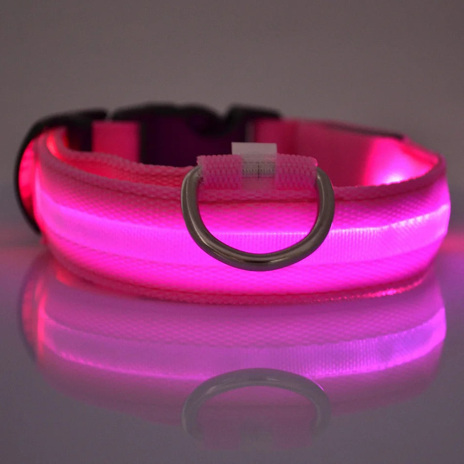 Rechargeable LED Dog Collar for Night Safety