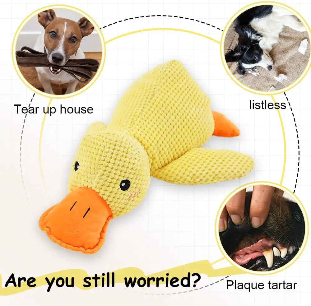 Duck Toy