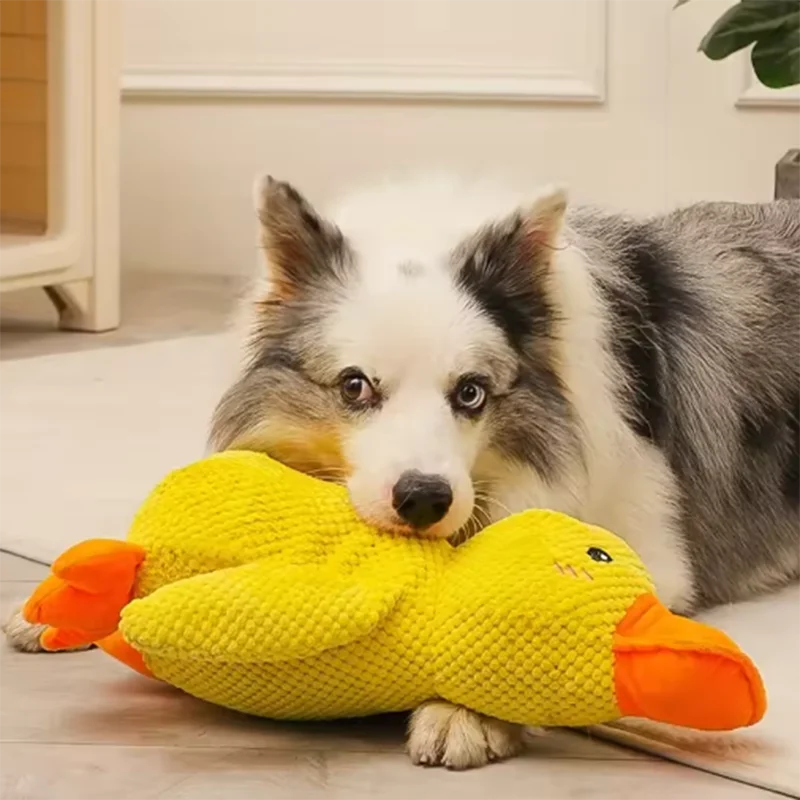 Duck Toy