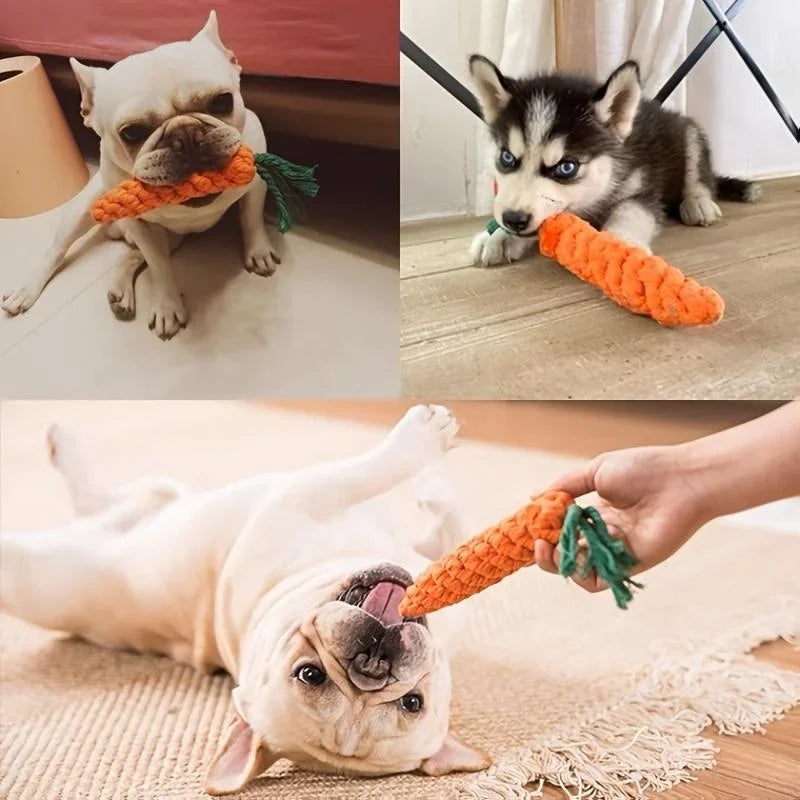 Carrot Rope Dog Chew Toy