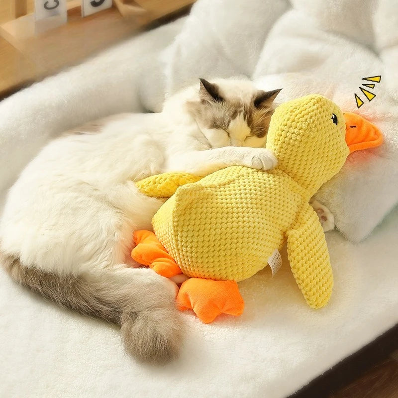 Duck Toy