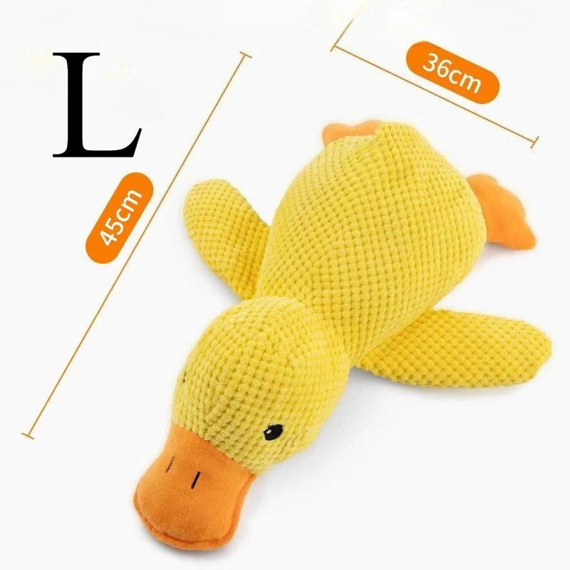 Duck Toy