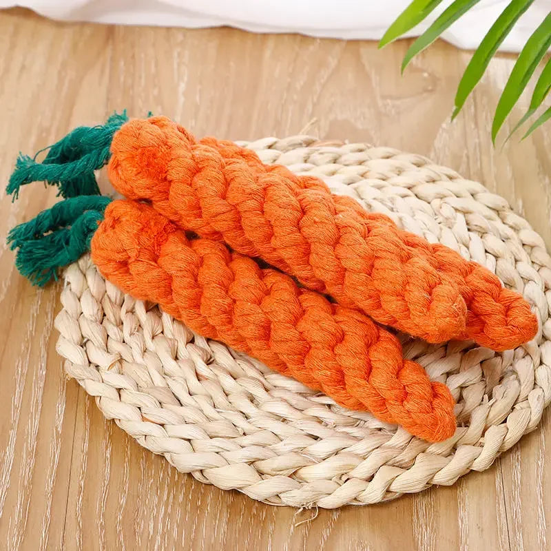 Carrot Rope Dog Chew Toy